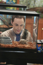 The Big Bang Theory (T8): Ep.17 La solicitud de colonización