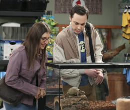 The Big Bang Theory (T8): Ep.17 La solicitud de colonización