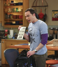 The Big Bang Theory (T8): Ep.19 La incursión en Skywalker