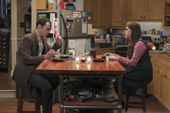 The Big Bang Theory (T8): Ep.20 La implementación de la fortificación