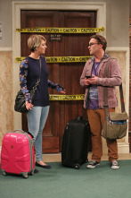 The Big Bang Theory (T8)