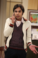 The Big Bang Theory (T8)
