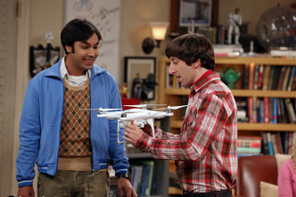 The Big Bang Theory (T8)
