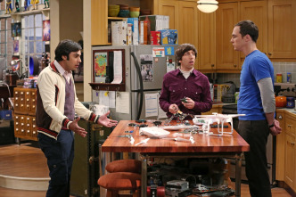 The Big Bang Theory (T8)