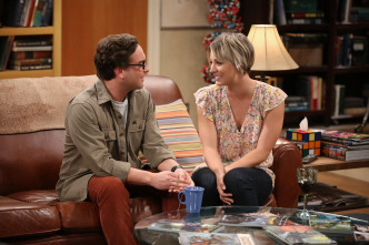The Big Bang Theory (T8)