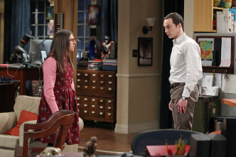 The Big Bang Theory (T8)