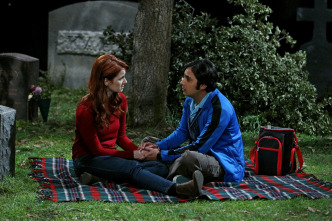 The Big Bang Theory (T8)