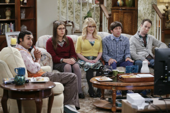The Big Bang Theory (T9)