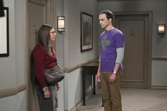 The Big Bang Theory (T9)
