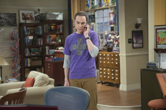 The Big Bang Theory (T9)