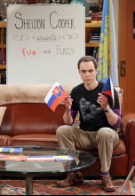 The Big Bang Theory (T9)