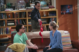 The Big Bang Theory (T9)