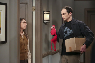 The Big Bang Theory (T9)