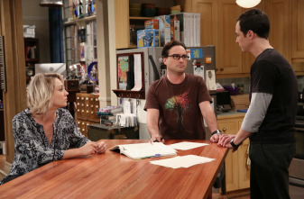 The Big Bang Theory (T9)