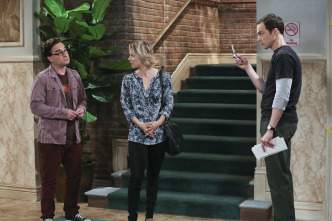 The Big Bang Theory (T9)