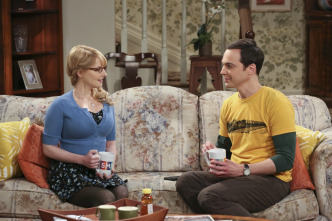 The Big Bang Theory (T9)