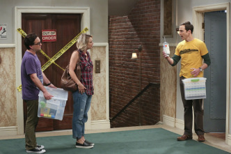 The Big Bang Theory (T9)
