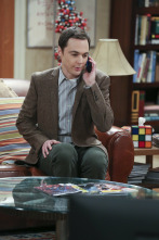 The Big Bang Theory (T9)