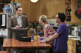 The Big Bang Theory (T9)