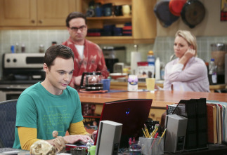 The Big Bang Theory (T9)