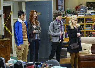 The Big Bang Theory (T9)