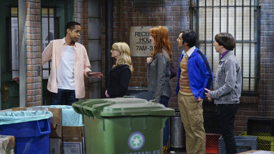 The Big Bang Theory (T9)