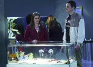 The Big Bang Theory (T9)