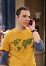 The Big Bang Theory (T9)