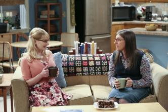 The Big Bang Theory (T9)