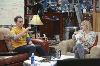 The Big Bang Theory (T9)