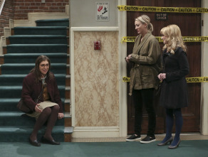 The Big Bang Theory (T9)