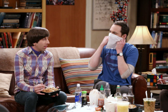 The Big Bang Theory (T9)