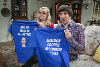 The Big Bang Theory (T9)