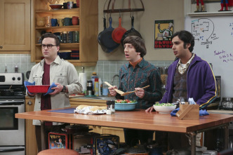 The Big Bang Theory (T9)