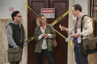 The Big Bang Theory (T9)