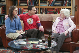The Big Bang Theory (T9)