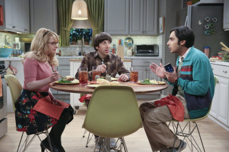 The Big Bang Theory (T9)