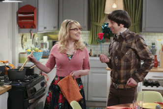 The Big Bang Theory (T9)