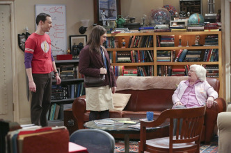 The Big Bang Theory (T9)