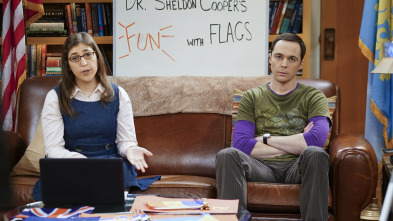 The Big Bang Theory (T9)