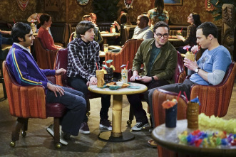 The Big Bang Theory (T9)