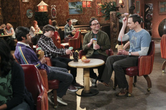 The Big Bang Theory (T9)