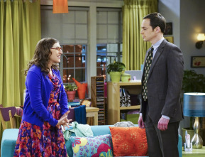 The Big Bang Theory (T9)