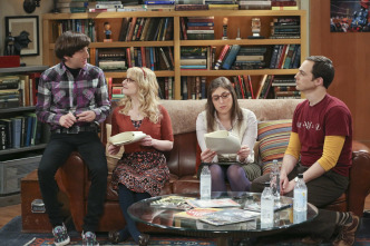 The Big Bang Theory (T9)