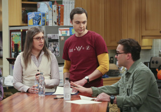 The Big Bang Theory (T9)