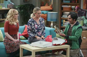 The Big Bang Theory (T9)