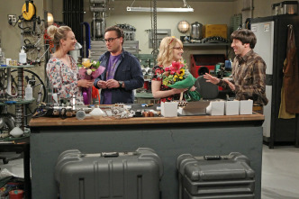 The Big Bang Theory (T9)