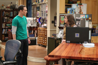 The Big Bang Theory (T9)