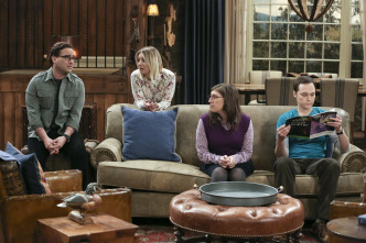 The Big Bang Theory (T9)