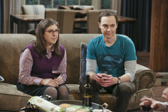 The Big Bang Theory (T9)